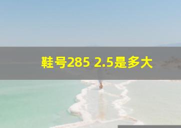 鞋号285 2.5是多大